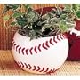 Ceramic Baseball Planter Great for Kids Room,Sports Fans and Home and Office Decor