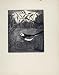 Pied Wagtail Bird Limited Edition Print Birds Described