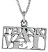 Sterling Silver THANK A VET Talking Pendant