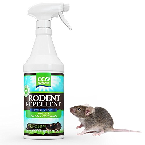 Mice Repellent by Eco Defense - All Natural Formula Repels Mice Fast - Humane Mice Pest Control - Guaranteed Effective - 32 oz Organic Spray - Safe around Pets & Children - Satisfaction Guarantee