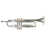 Blessing ML1G Gold Trim Trumpet - B0002F5I6E