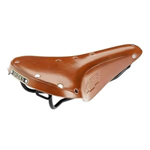 Brooks Saddles B17 Standard Bicycle Saddle (Black Rails, Honey)