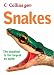 Snakes (Gem)