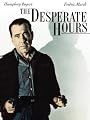 play video on Amazon Instant Video