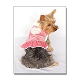 Lovely Dog Lace Dress - Pink - Small