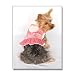 Lovely Dog Lace Dress - Pink - Extra Small