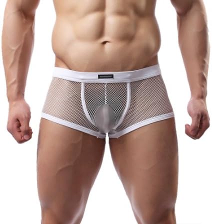 Mens Sexy Boxer Briefs Mesh Pants Sheer See Through Underwear Underpants C24