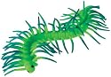 Toysmith - Super Stretchy Centipede