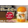 福と億を呼ぶ!貯金箱にもなる開運童子 『お願いおっ君』