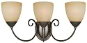 Hardware House 543850 Berkshire 20-1/4-Inch by 8-3/4-Inch Bath/Wall Lighting Fixture