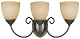 Hardware House 543850 Berkshire 20-1/4-Inch by 8-3/4-Inch Bath/Wall Lighting Fixture