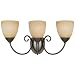 Hardware House 543850 Berkshire 20-1/4-Inch by 8-3/4-Inch Bath/Wall Lighting Fixture