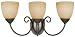 Hardware House 543850 Berkshire 20-1/4-Inch by 8-3/4-Inch Bath/Wall Lighting Fixture Image