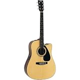 Acoustic-Electric Guitars