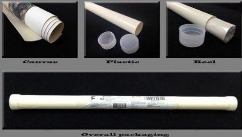 ASIA MODERN ABSTRACT WALL ART PAINTING ON CANVAS NEW Style ! (NO FRAME）with The surf rose