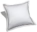 Pinzon 400-Thread-Count 100% Cotton Sateen Hotel Satin Stitch Euro Sham, Bordeaux