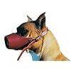 Canine Leather Muzzle Medium