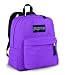 JanSport Classics Series Spring Break Backpack (Forge Grey)