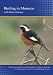 Birding in Morocco (PC)