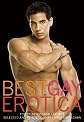 Best gay erotica 2012