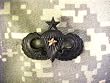 Parachutist Senior 1 Combat Star - Metal Insignia -Black