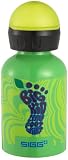 Sigg Aluminum Water Bottle - .3 Liter - Available in Various Designs