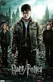 Harry Potter and the Deathly Hallows Part 2 Movie Poster Print - 22x34