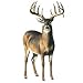 Deer Buck Antler Wallpaper Mural Wall Home Decor Lodge