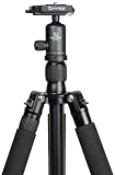 Giottos Vitruvian VGR8255+MH5310-630 Carbon Fibre Tripod with Ball and Socket Head