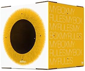 Modern Cat Furniture with Corrugated Cardboard Box | Cardboard Cat House | Single Box