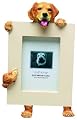 Golden Retriever 2 1/2 x 3 1/2 Photo Frame by E&S Imports, Inc