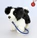 BuySurprise Present Deluxe 30cm Standing Border Collie Puppy on Lead Soft Plush Dog by Keel Toys - Looks Real and Feels Real Puppy - A Great Gift for Dog Lovers