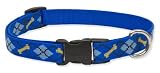 Lupine Medium Dog Collar - Dapper Dog (12-20 inches)