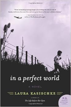 In a Perfect World: A Novel: Laura Kasischke: 0971487517728: Amazon.com: Books