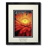 IMAGE OF SET of 6 - 5x7 Black Wood Frames and Glass with Antique White/Black Double Mats for 3.5x5.