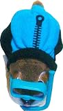 Zhu Zhu Pets Hamster Outfit Wet Suit and Swim Mask 417eJUycVuL. SL160 Zhu Zhu Pets Hamster Outfit Wet Suit and Swim Mask