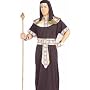 New Mens Costume Adult Egyptian Pharaoh King Tut Outfit Adult Standard (Chest 52)