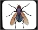 Mouse Pad with 