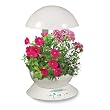 AeroGarden 900211-1200 3 with 3-Pod English Garden Flowers Seed Kit, White