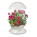 AeroGarden 3 White w/Cascading Petunias Seed Kit by AeroGrow