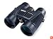 Bushnell H2O Waterproof/Fogproof Roof Prism Binocular, 8 x 42-mm, Black