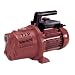 T.I.P. 31175 Gartenpumpe Gartenjet 750