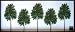 F-style �꡼�եѥͥ롦1375x570x30mm��Philodendron bipinnatifidum�� ########################################################################################################################################################################################################...