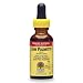 Nature's Answer Saw Palmetto Berry, 1-Ounce