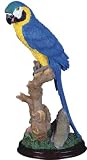 Parrot Collection Red Exotic Bird Figurine Decoration Collectible