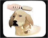The Business Guide to Pet Grooming