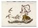 Aphrodite Rides Her Chariot Drawn by Doves Through the Clouds Collections Giclee Post...