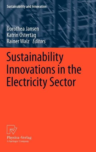 Sustainability Innovations in the Electricity Sector (Sustainability and Innovation)