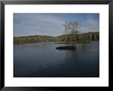 A peaceful autumn view of the Potomac River a few miles below Great Falls Seasons Framed Art Poster Print by Stephen St. John, 31x25