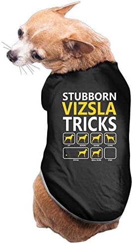Rappy Dog's Stubborn Vizsla Tricks Gift Dog Sweater